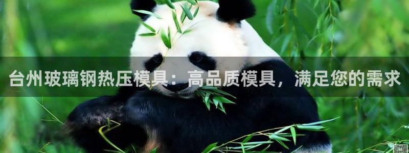 易倍单词平台