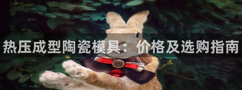 低频的emc用什么滤波：热压成型陶瓷模具：价格及选购指南