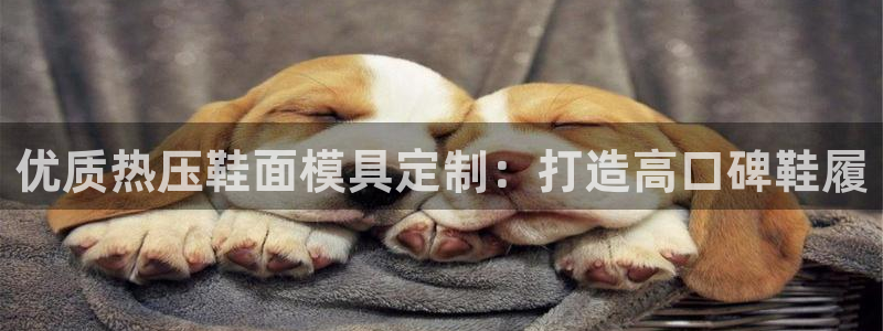 易倍纤减肥价格