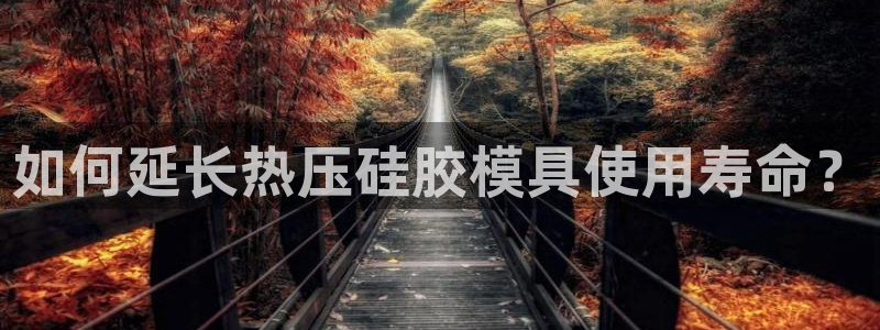 杭州易倍达