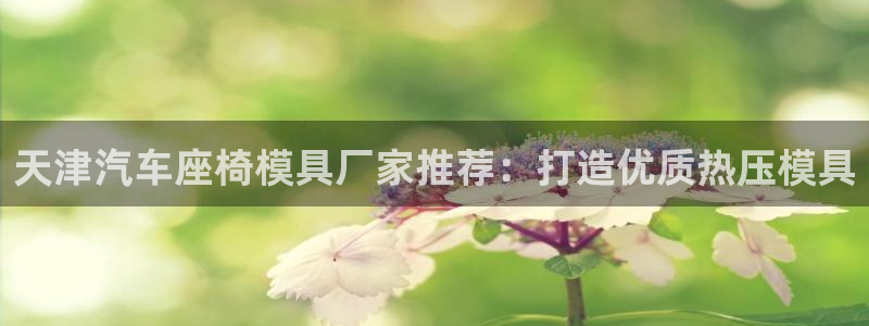 EMC易倍