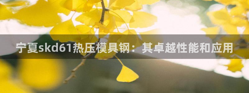 北京易倍思教育怎么样