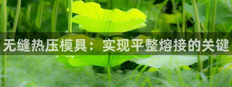 易倍emc安全吗