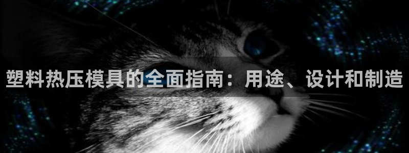 易倍emc网址：塑料热压模具的全面指南：用途、设计和制造
