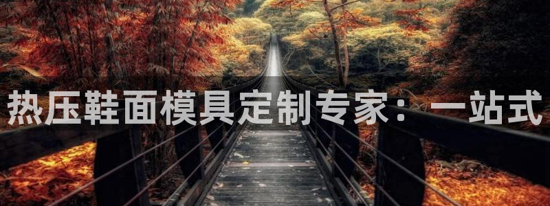 易倍企业管理软件