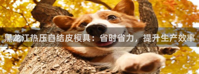 易倍全站下载