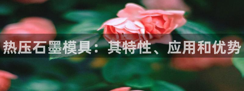 Emc易赔体育：热压石墨模具：其特性、应用和优势