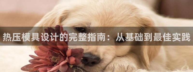 易倍单词官方网站下载安卓
