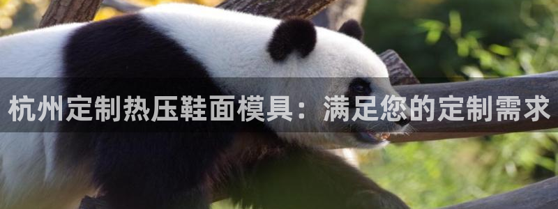 易倍单词官方网站登录