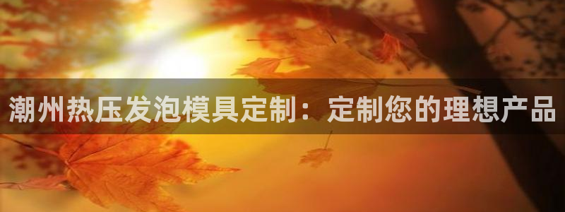 易倍网络技术有限公司