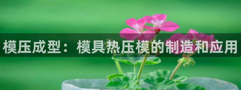 易倍纤代餐粉能减肥吗