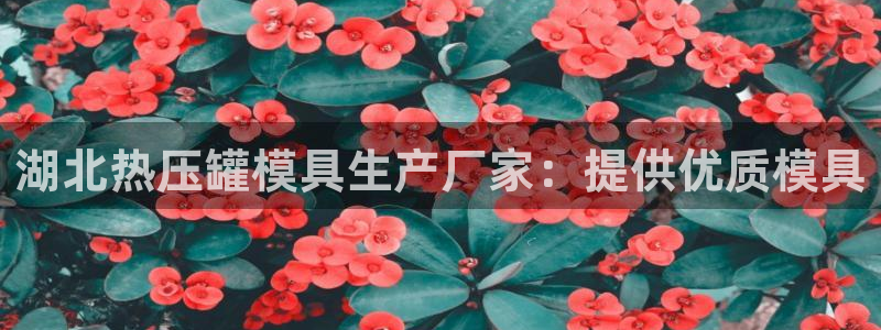 易倍企业管理软件
