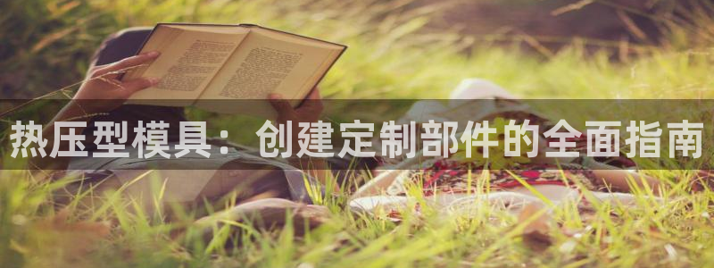 武汉易倍捷科技有限公司：热压型模具：创建定制部件的全面指