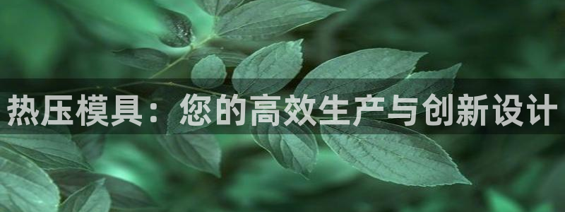 易倍纤谷物粉效果好吗：热压模具：您的高效生产与创新设计