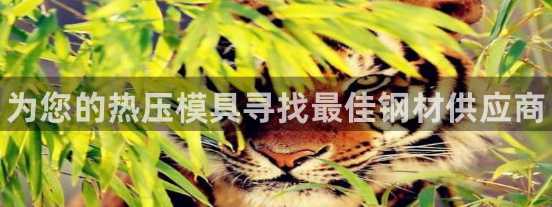 易倍单词官方网站下载安卓
