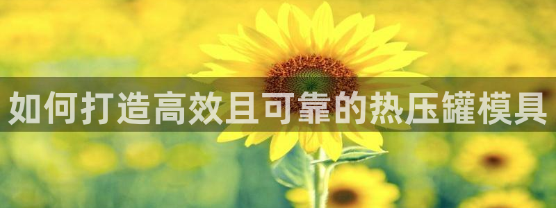 emc低频不过