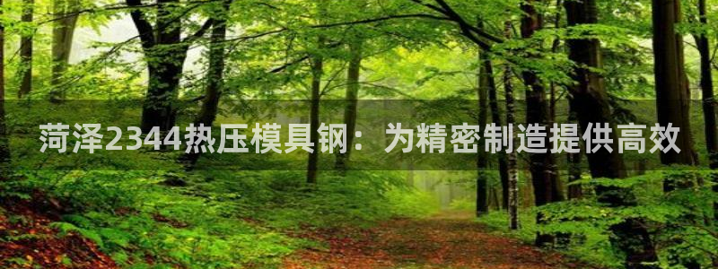 emc易倍账号异常：菏泽2344热压模具钢：为精密制造提