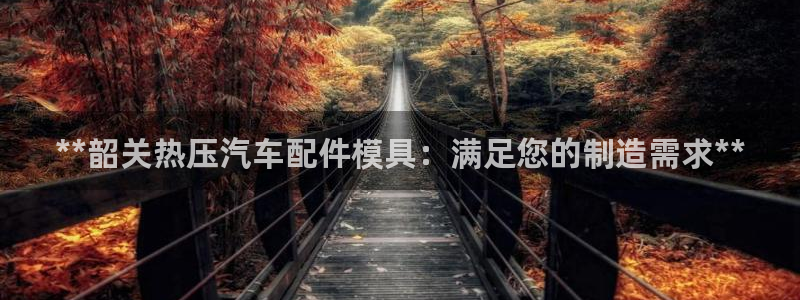 emc易倍账号异常：**韶关热压汽车配件模具：满足您的制