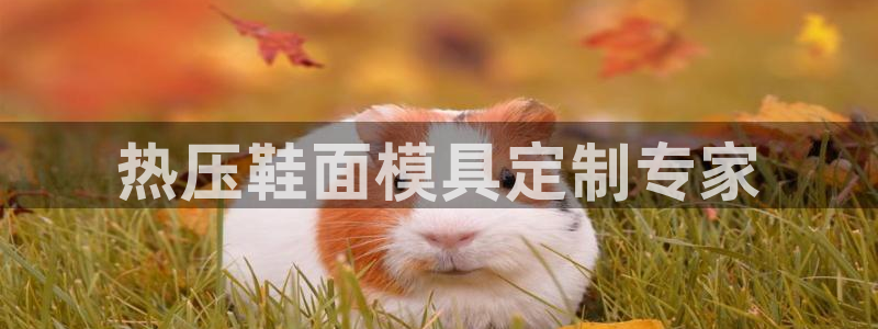 易倍申多少钱一盒
