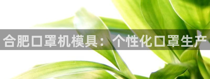 易倍纤代餐奶昔减肥效果怎么样：合肥口罩机模具：个性化口罩