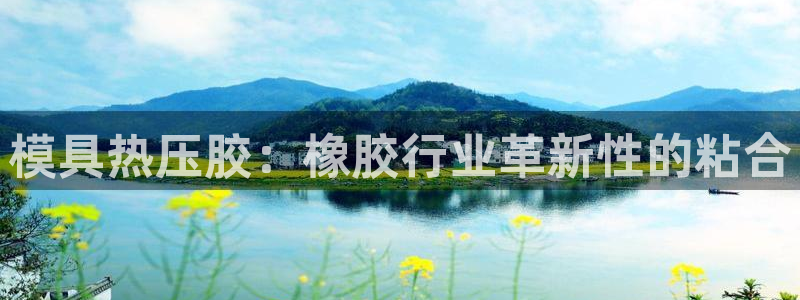 易倍纤减肥反弹不：模具热压胶：橡胶行业革新性的粘合