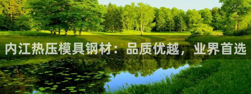 易倍申价格：内江热压模具钢材：品质优越，业界首选