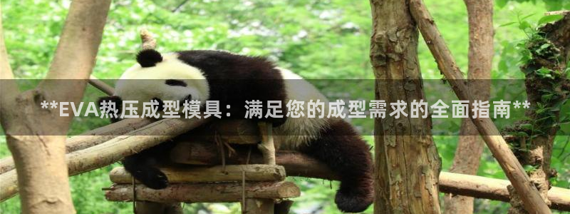 emc易倍电竞：**EVA热压成型模具：满足您的成型需求