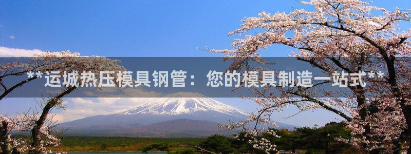 易倍申价格：**运城热压模具钢管：您的模具制造一站式**