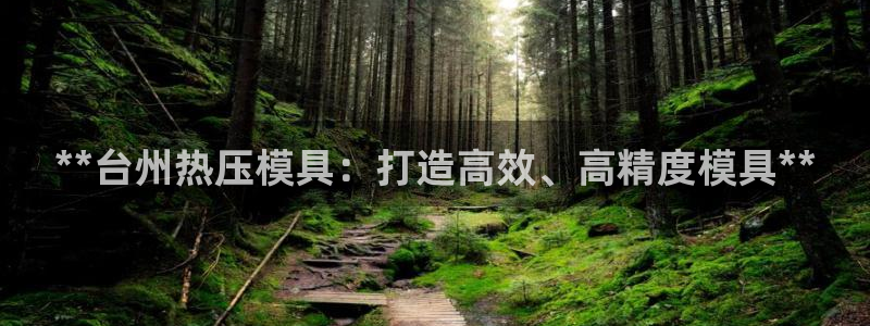 易倍单词官方网站：**台州热压模具：打造高效、高精度模具