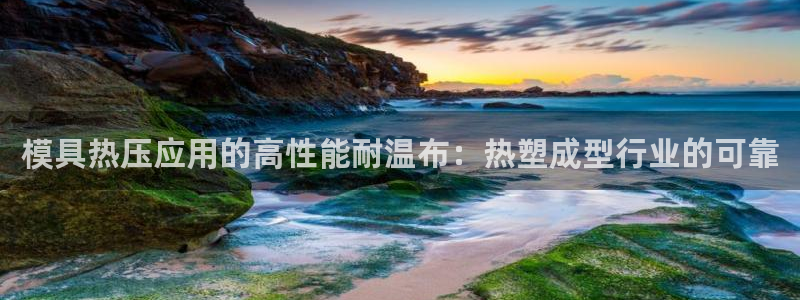 易倍申医保报销：模具热压应用的高性能耐温布：热塑成型行业