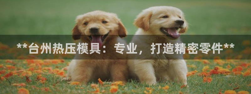 易倍emc网址网页版本登陆：**台州热压模具：专业，打造