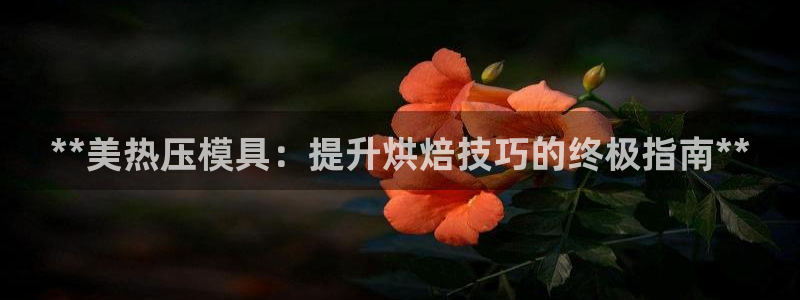 易倍网络技术有限公司怎么样：**美热压模具：提升烘焙技巧