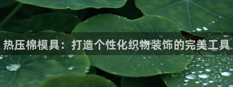 emc易倍ios官网