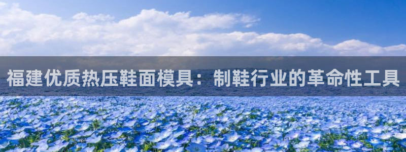 emc易倍网页版：福建优质热压鞋面模具：制鞋行业的革命性