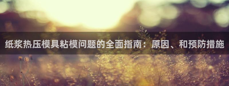易倍申安理申区别：纸浆热压模具粘模问题的全面指南：原因、
