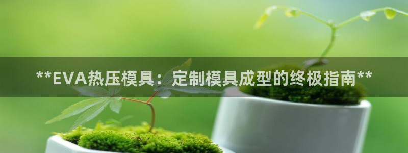 易倍纤酵素效果好吗：**EVA热压模具：定制模具成型的终