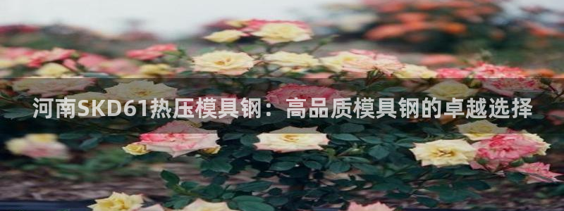 EMC易倍官方平台