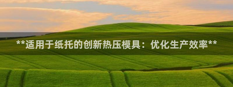 emc倍频超了：**适用于纸托的创新热压模具：优化生产效