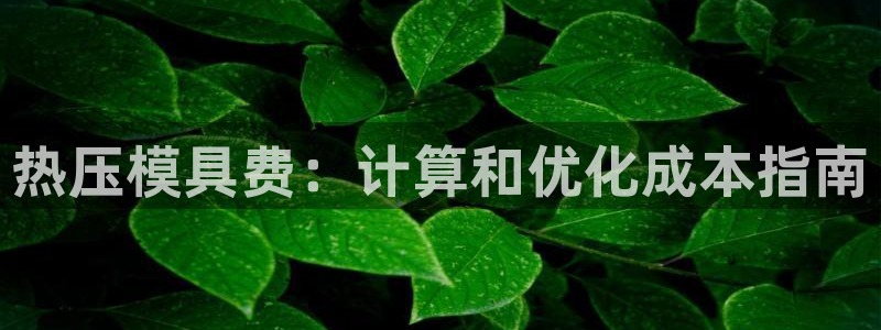 易倍达科技有限公司招聘：热压模具费：计算和优化成本指南
