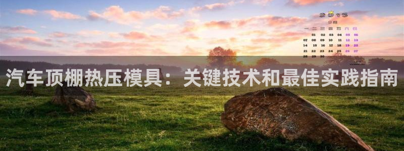 易倍申片能长期服用吗：汽车顶棚热压模具：关键技术和最佳实