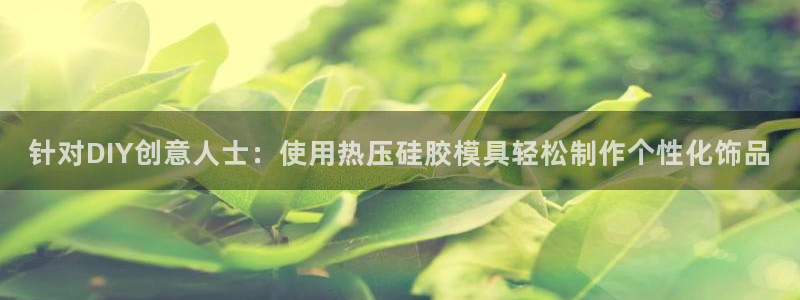 易倍易倍单词官方网站：针对DIY创意人士：使用热压硅胶模