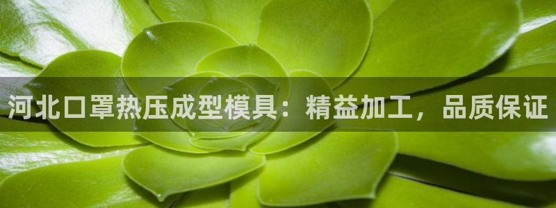 易倍申的价格