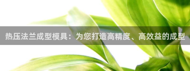 emc易倍官方平：热压法兰成型模具：为您打造高精度、高效