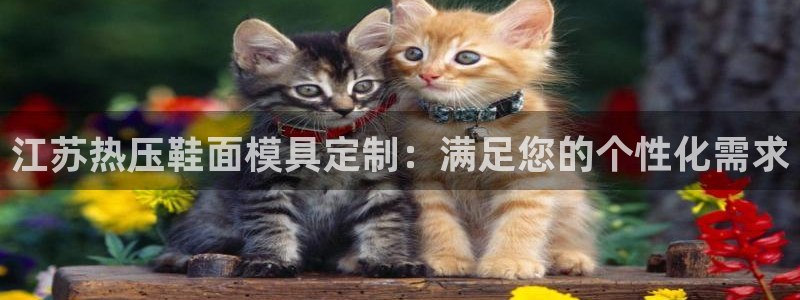 emc易倍黑吗