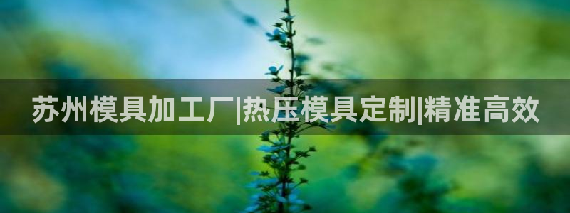EMC易倍让身份验证