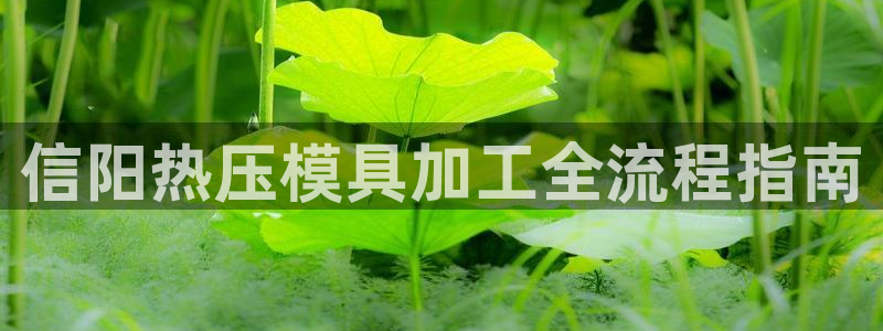 emc服务器是什么