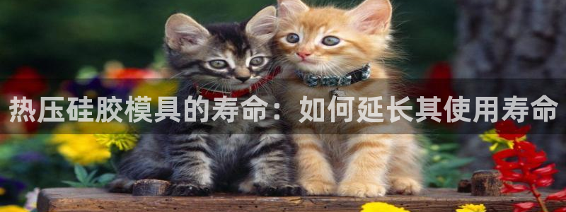 emc易倍在线登录