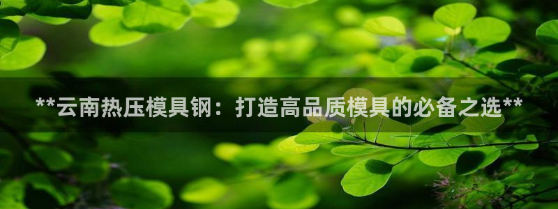 易倍达科技有限公司代运营