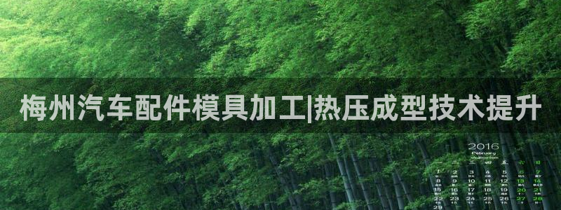 易倍单词官方网站下载安卓