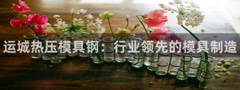 南京易倍易电子科技有限公司：运城热压模具钢：行业领先的模